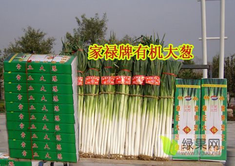2019年山东章丘家禄三号价格