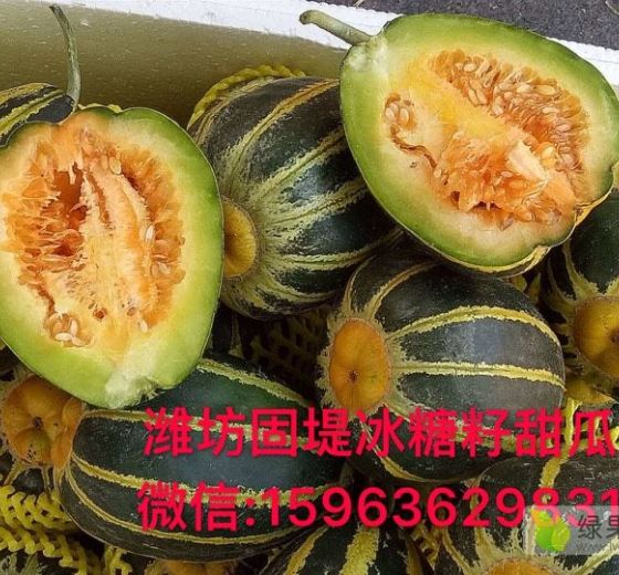 2019年山东寒亭冰糖籽价格
