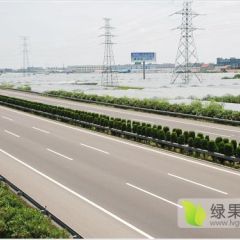 慈溪巨峰葡萄-2019慈溪葡萄批发中心大量供货商