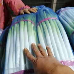 安丘大葱冷库打冷发全国