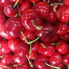 山东大樱桃，舌尖上的美味