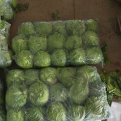 我们这里甘蓝大量上市了