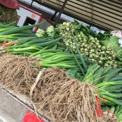 刚上市的陆地小葱