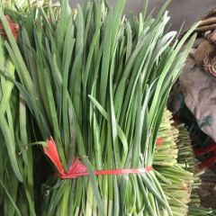 藁城区里庄平韭6号陆地韭菜
