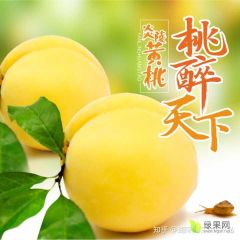 湖南炎陵黄桃