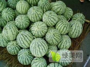 2019年河南夏邑8424西瓜价格