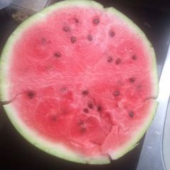 主要提供8424西瓜和特小凤