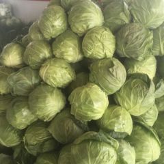 里庄蔬菜市场甘蓝