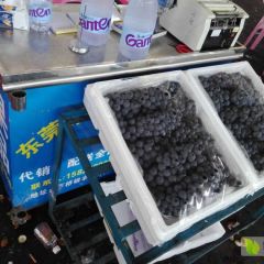 专业代销全国各地提子