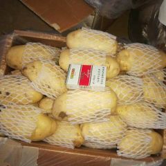 滕州市土豆不土，实力代办！欢迎洽谈