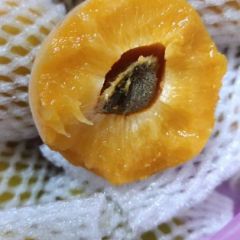 丰源红杏大量上市