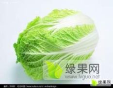 供应：锦州凌海市万亩大棚陆地黄心白菜现已大量上市