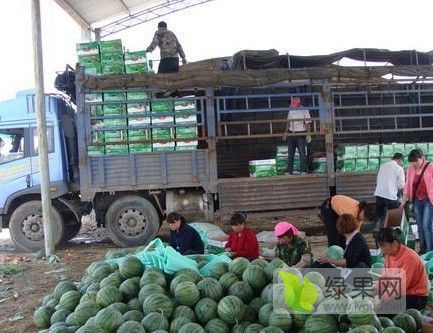 2019年山东青州甜王价格