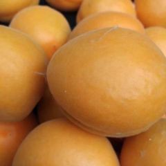 萧县金太阳部分成熟