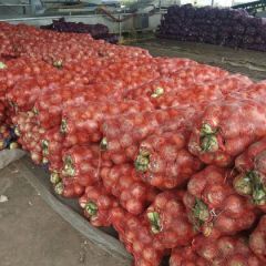 洋葱大量上市，价格低廉