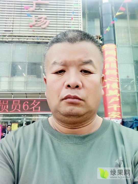 2019年陕西大荔京欣价格