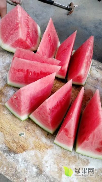 2019年河南夏邑麒麟西瓜价格