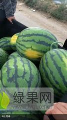 诚信为本，合作共赢！！！！