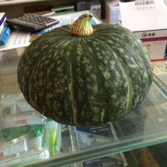 陕北的精品佳栗南瓜