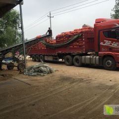 专业代收平度黄皮洋葱