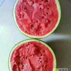 清苑温仁万亩西瓜正式上市，价格合理