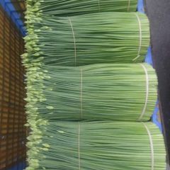 韭花韭苔韭菜九花九苔九菜