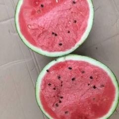 瓜果代办10多年经验