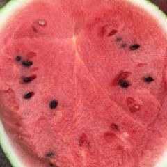 温岭西瓜大量上市！皮薄汁多！产地直销！！