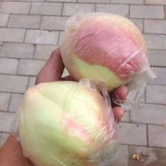 大荔蜜桃逐渐升温货源充足