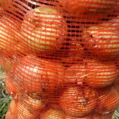 黄皮洋葱大量上市中，电话15937031308