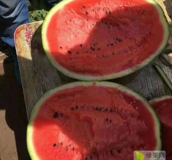 2019年河北清苑甜王系列价格