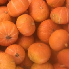 红色板栗南瓜大量上市中