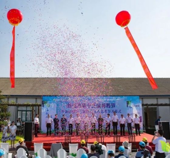 2019年浙江慈溪红提价格