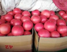 里庄蔬菜市场西红柿