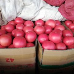 里庄蔬菜市场西红柿