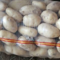 荷兰土豆大上市了，需要的联系。