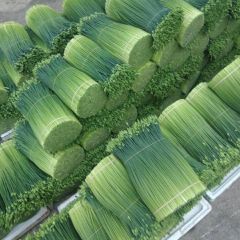 全年365天天天供货,欢迎新老顾客来电咨询,采购。