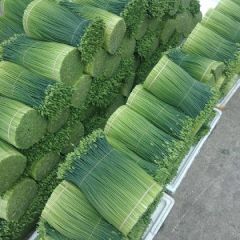 韭苔 韭菜花 韭菜 九菜