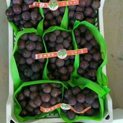 河北饶阳乒乓球葡萄大量上市，欢迎采购