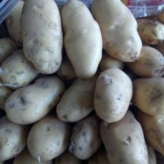 河南省开封市通许:老马:专业洋葱:土豆:代办！！！