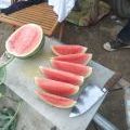 河南夏邑西瓜其他蔬菜品质优良