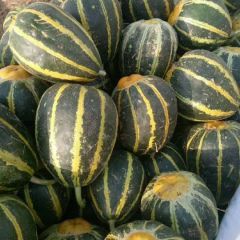 潍坊寒亭大量供货西瓜、甜瓜