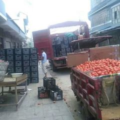 贵州修文石头西红柿随行就市