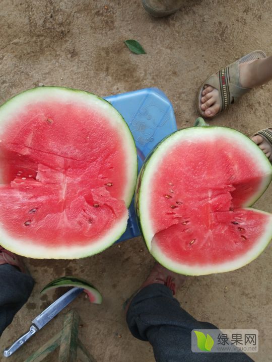 甜王价格
