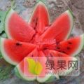 清苑西瓜真是好价格低来质量好