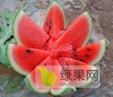 2019年河北清苑京欣价格