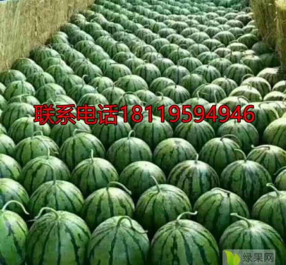 2022年安徽砀山8424西瓜价格