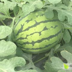 各地客户注意了。微信电话同步18593181718