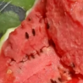 山东安丘红沙沟甜王西瓜