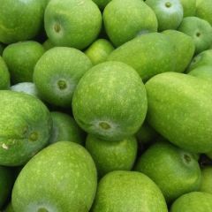 山东莘县大量供应一串铃白皮冬瓜，带白霜